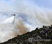 Greece Wildfire