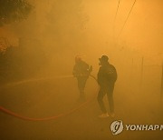 Greece Wildfire