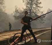 Greece Wildfire