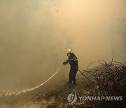 Greece Wildfire