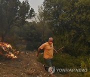 Greece Wildfire