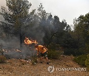 Greece Wildfire