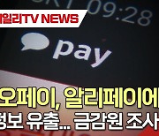 카카오페이, 알리페이에 개인정보 유출...금감원 조사