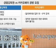 금감원 "알리에 고객정보 유출" vs 카카오페이 "적법한 절차 따라 제공"