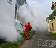 [포토]해외 여행 뎅기열 조심…모기 물리지 마세요