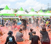 '토마토 풀장 인기' 횡성둔내고랭지토마토축제 성료