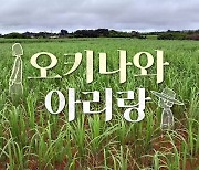 [시사기획 창] 오키나와 아리랑