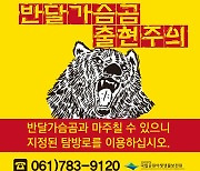 지리산 버섯채취 주민 부상…반달가슴곰 추정