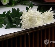 [단독] 국군포천병원서 사병 극단선택...4시간만에 발견, 또 인솔간부 없었다 [저격]