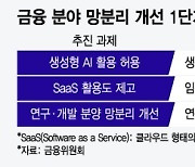 '망분리 완화' 금융사 AI가 보이스피싱 잡고, AI 개발한다