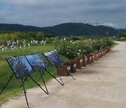 [울산소식]광복절 맞아 태화강국가정원서 무궁화 전시회 등