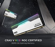 KLEVV, CRAS V RGB ROG CERTIFIED 메모리 키트 출시