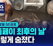 [글로벌D리포트] '폼페이 최후의 날' 이렇게 숨졌다