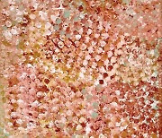 SH GALLERY 서울, Emily Kame Kngwarreye 등 애보리지널 아트(Aboriginal Art) 그룹展 개최