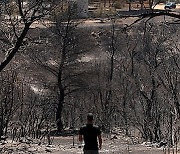 GREECE WILDFIRE