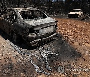 epaselect GREECE WILDFIRE