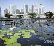 SINGAPORE-ECONOMIC GROWTH-Q2