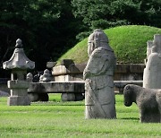 세계문화유산 선릉에 주먹크기 구멍…경찰, 용의자 추적