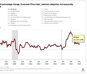 美 7월 소비자 물가 2.9%↑‥힘 더 실린 '9월 금리인하설'