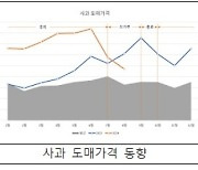 [사실은 이렇습니다] 농식품부 “추석 성수품 수급안정에 최선 다할 것”