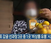 서귀포시 감귤 선과장 3곳 중 1곳 ‘비상품 유통’ 시도