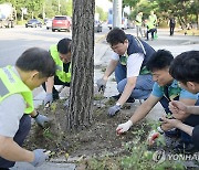 장마와 폭염에 웃자란 잡초 제거