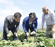 김범석 차관, 여름 배추 생육 관련 현장방문