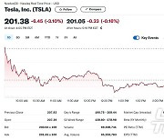 미증시 랠리에도 테슬라는 3.10% 급락