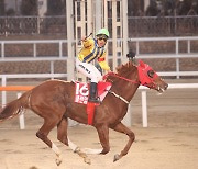 [경마] 레전드 명마 '클린업조이' 다섯 번째 명예경주마 선정