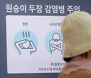 WHO, 엠폭스 확산에 ‘국제적 공중보건 비상사태’ 선언