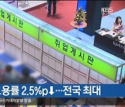 2분기 대구 고용률 2.5%p↓…전국 최대