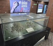 Removal of Dokdo models from subway stations stirs controversy