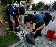 Over 1,500 reports of N. Korea's trash balloons submitted this year