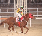 클린업조이 다섯번째 명예경주마 선정 [경마]