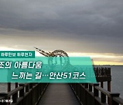 [하루만보]낙조의 아름다움 느끼는 길…안산51코스