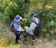 한반도 지하에 마그마 저장소가…"화산활동 가능성"