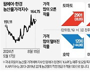 배추 한포기 6000원 넘었다…역대급 폭염에 채소값 '들썩'