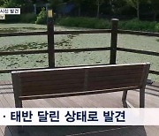 "탯줄 달린 상태로"…세종 저수지서 영아 시신 발견