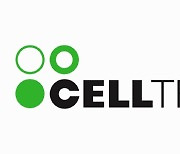 Celltrion decides not to persue merger with Celltrion Pharm