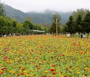 폭염 속 가을행사 준비 지자체들, 온열질환 관리 나서