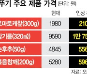 "3분카레 너마저"···오뚜기, 24개 품목 최대 15% 인상