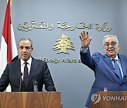 LEBANON EGYPT DIPLOMACY