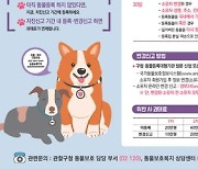 강서구, 9월 말까지 동물등록 자진신고 기간 운영