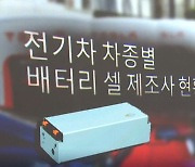 연식·생산지 구분 없이 배터리 ‘두루뭉술’ 공개…테슬라 차주들 “불안”