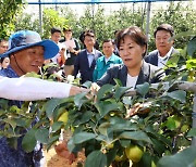 농림축산식품부 주간계획(8월18일~24일)