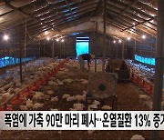 폭염에 가축 90만 마리 폐사‥온열질환 13% 증가