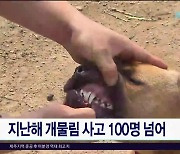 지난해 개물림 사고 100명 넘어