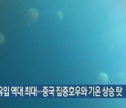 해파리 유입 역대 최대…중국 집중호우와 기온 상승 탓