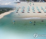 "내일 폐장" 동해안 해수욕장 31만명 '북적'