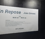 예술·비예술의 경계…주앙 시몽이스 첫 한국전 ‘in Repose’展 [전시 리뷰]